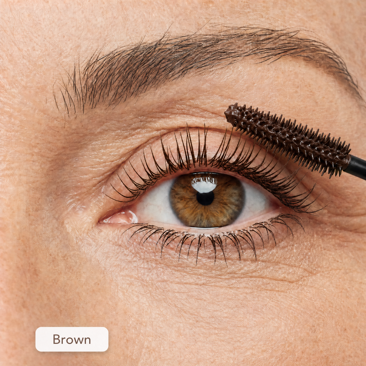 Ceyna mascara Brown
